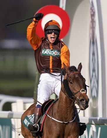 Former Grand National Winner Noble Yeats Dies