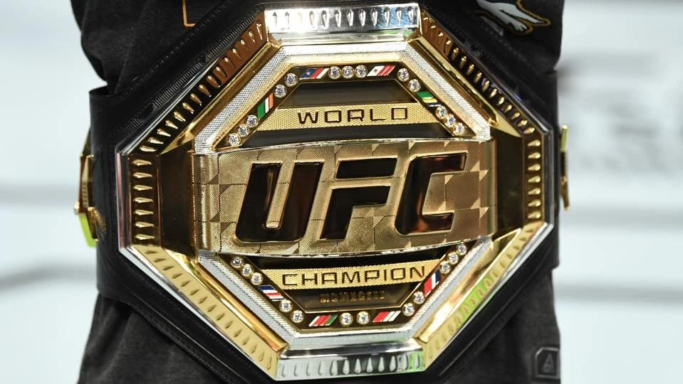 Former UFC Light Heavyweight Champion Announces Move Up To Heavyweight