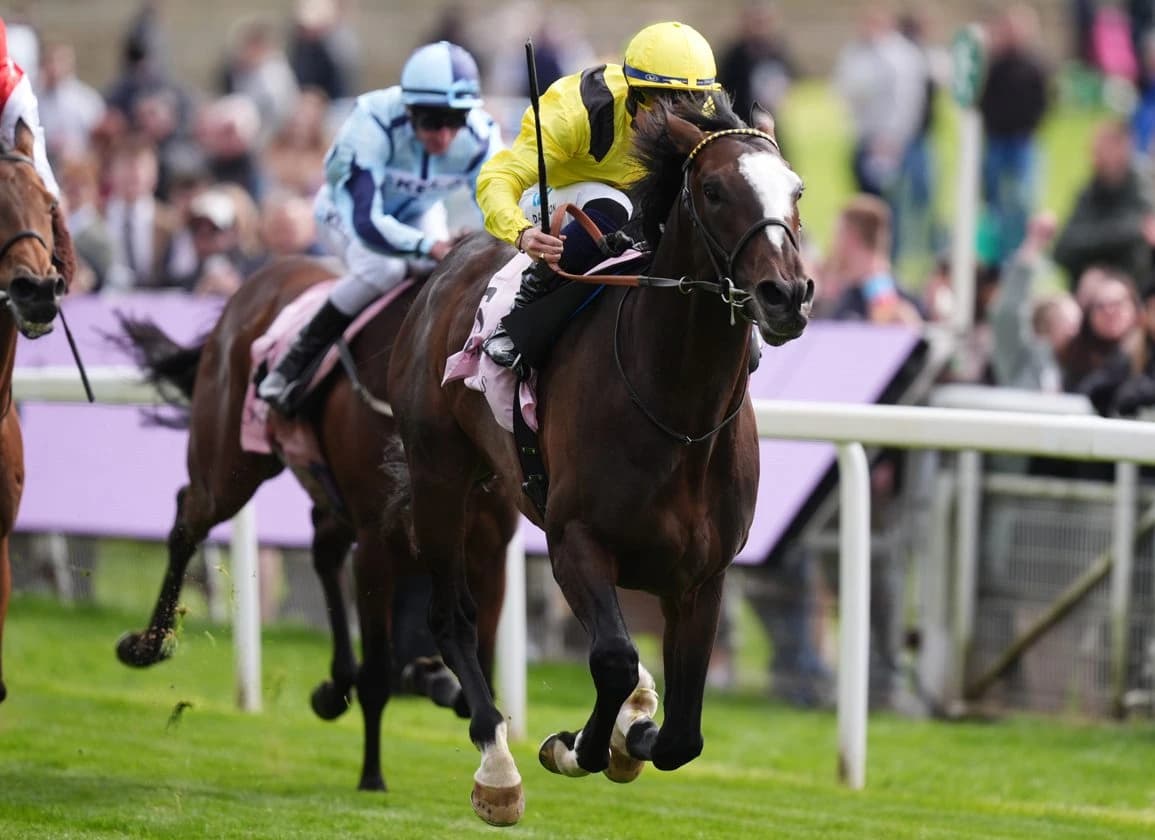 Frankel's Rahiebb Royal-Ascot Bound After Yorkshire Cup Triumph