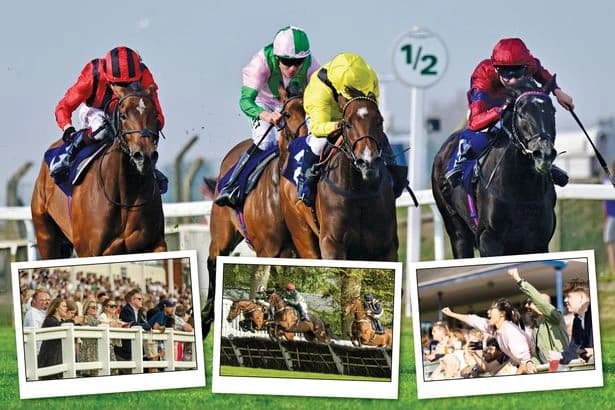 Free autumn horse racing tickets to give away with Arena Racing Company