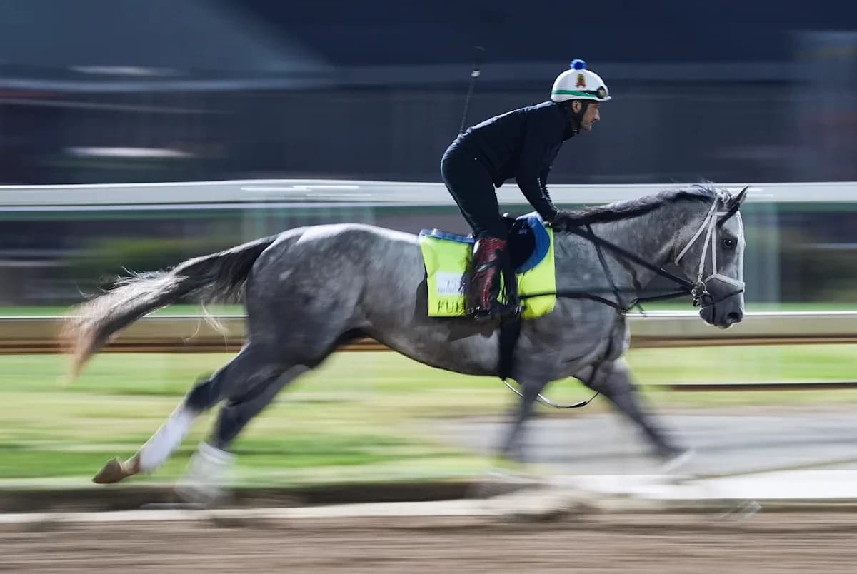 Fulleffort scratches from 2026 Kentucky Derby field, Ocelli enters