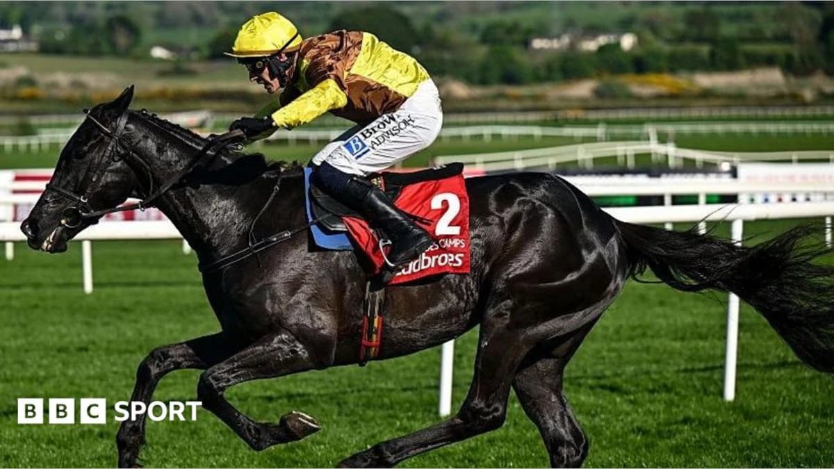 Galopin Des Champs: Two-time Cheltenham Gold Cup winner days less than a week after retiring