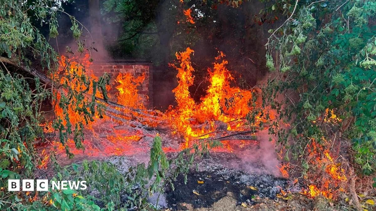 Girl, 9, alerts cricket club to fire as voluteers condemn vandalism spree
