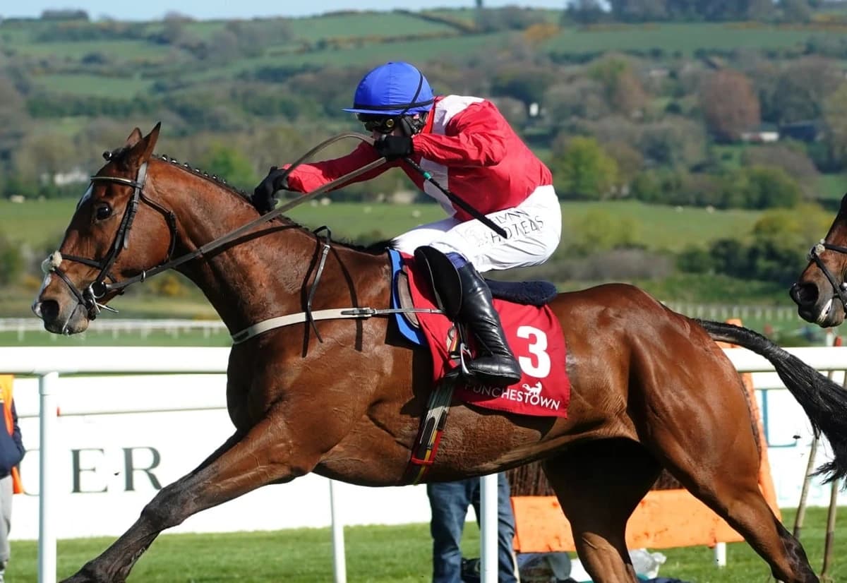 Grand National 2027 horse previews: Grangeclare West