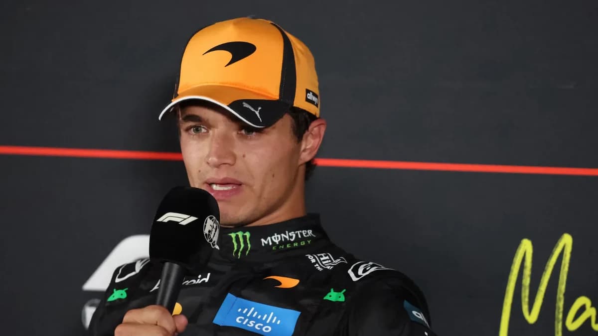 Guenther Steiner lays into Lando Norris after F1 Spanish GP cool-down room fiasco