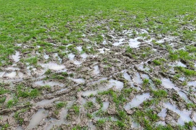 Harrogate sports clubs' worries over waterlogged pitches inspires new Zero Carbon Harrogate event