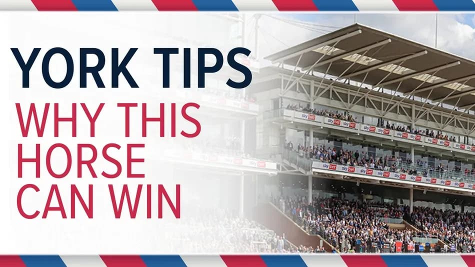 'He’s as good value as any runner this week' - why this horse can win at York's Ebor festival