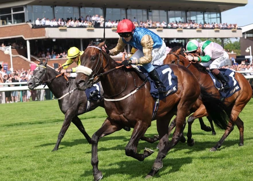 'He's had to do it a different way' - Night Raider enters Royal Ascot picture with Temple Stakes win