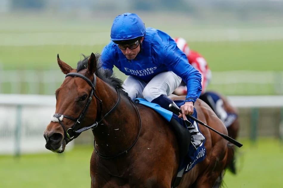 'He's still 14-1 and that's simply too big' - our Ultimate Preview panellists give their Royal Ascot