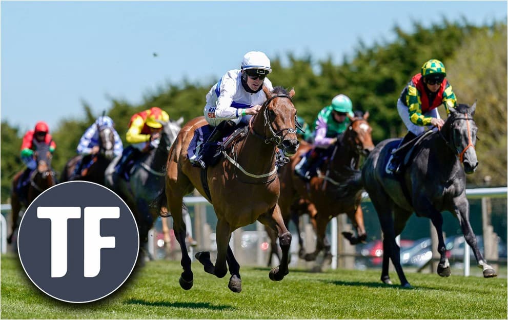 Horse Racing tips: Timeform’s Brighton Sunday selections