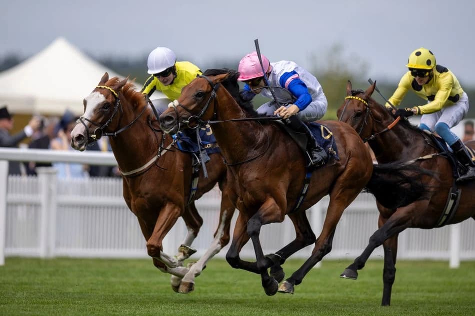 ‘I’d have had him in mind as a top-class hurdler’ - James Owen thinking Classics, not Cheltenham, fo