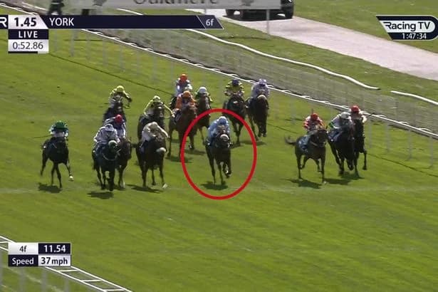 Jockey banned for hitting horse on head with whip in stalls and faces disqualification