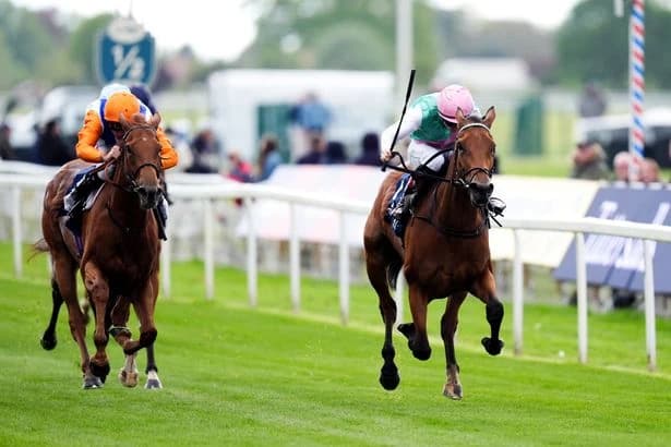 John Gosden impressed by latest Oaks plunge horse Legacy Link after stablemate ruled out