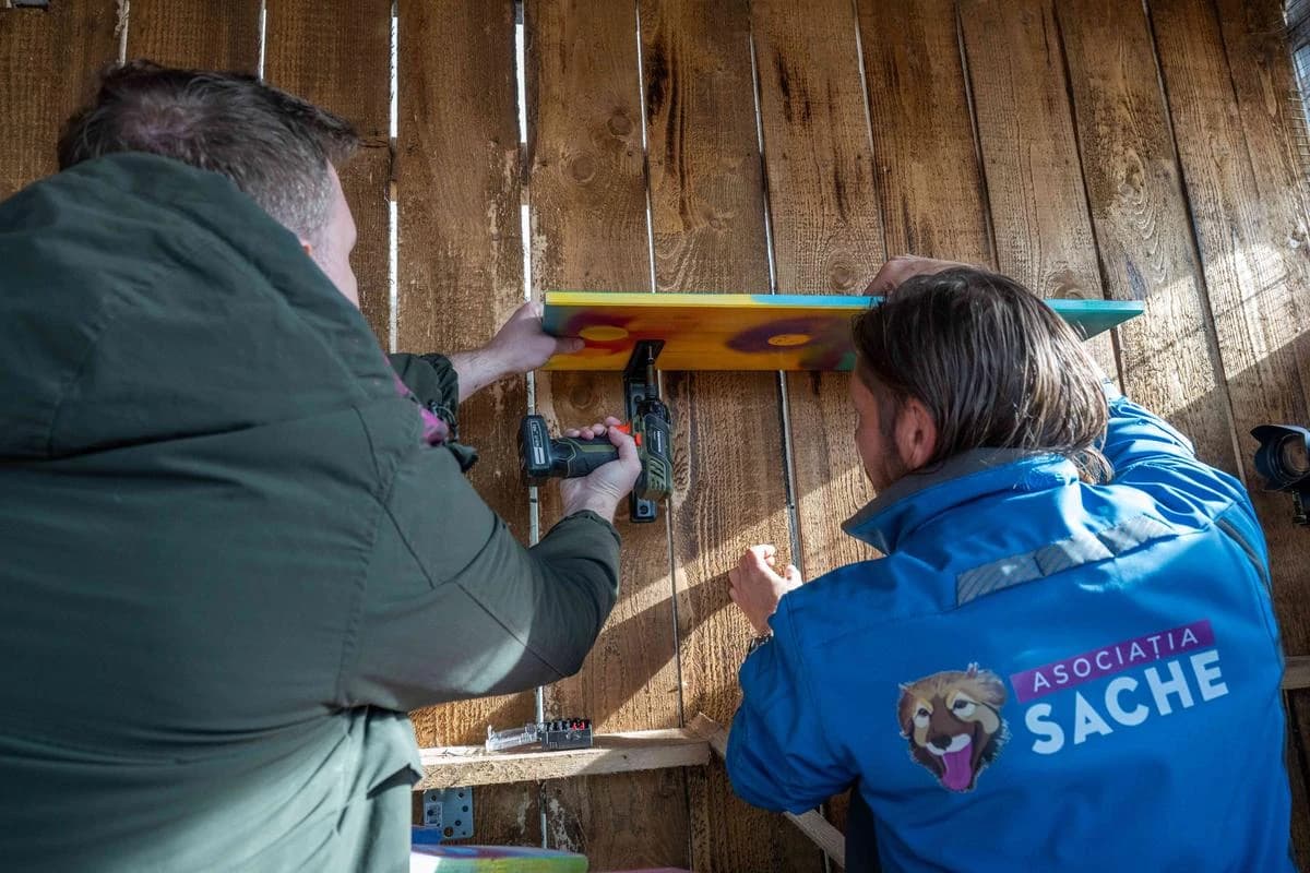 Kaizen Gaming: Angajații au contribuit cu peste 960 de ore de voluntariat prin „The Collective” în 9