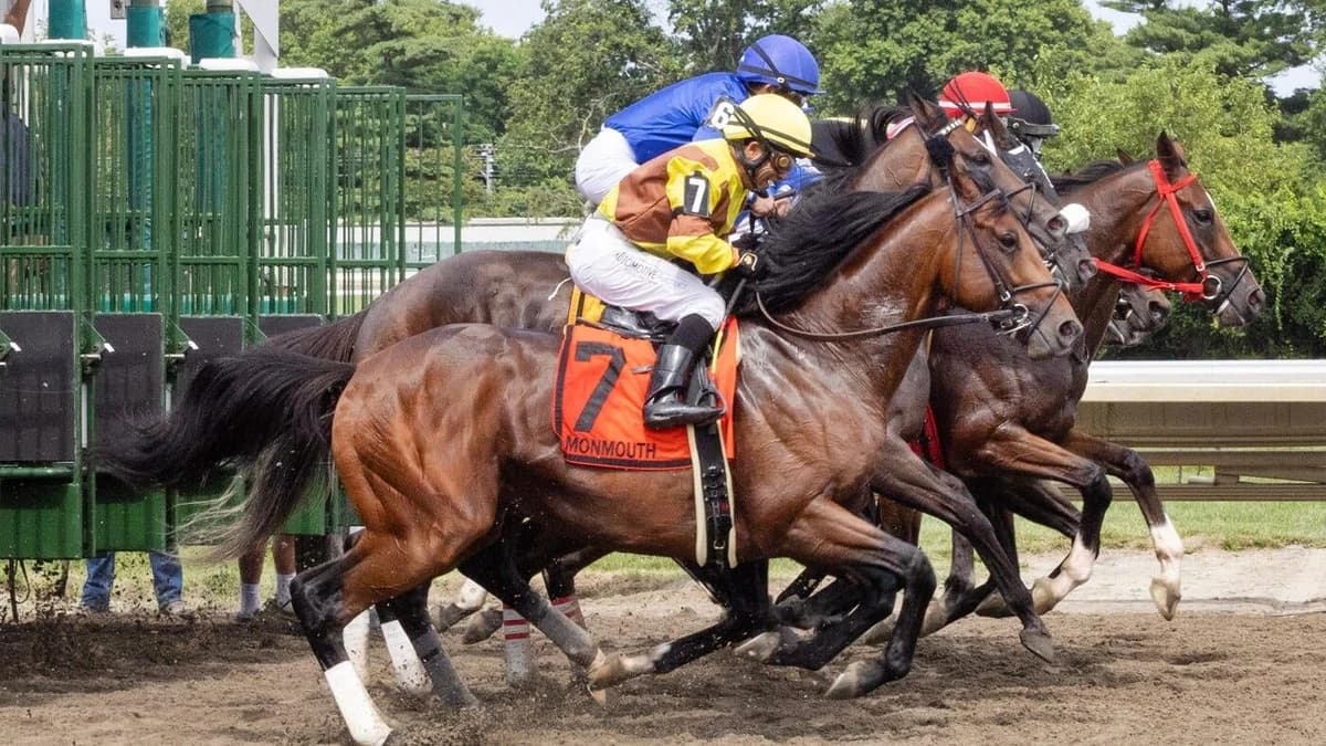 Kentucky Derby 2026 odds, post positons, date: Renegade, Commandment, Further Ado expert predictions