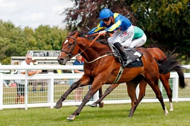 King George-winning trainer unleashes ‘best horse I’ve ever had’ for 12-1 winning debut
