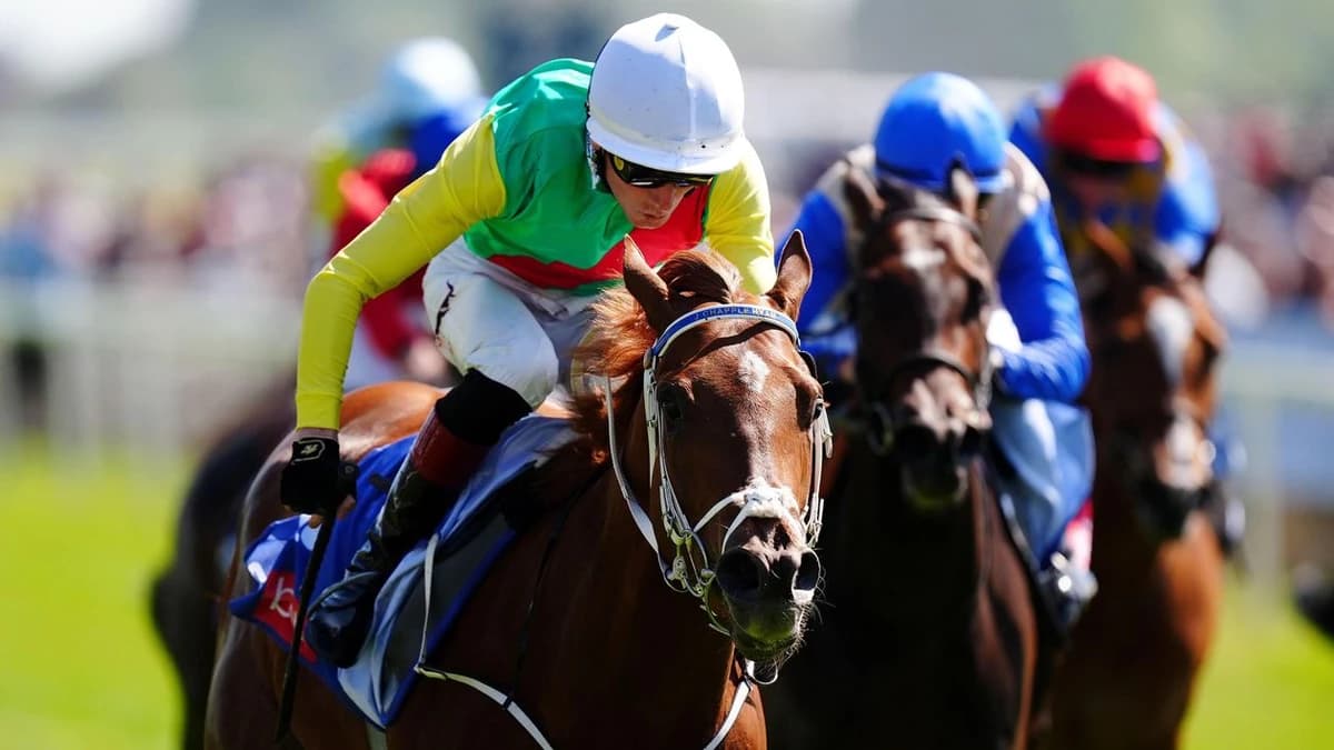 Kon Tiki on track for Royal Ascot test in the Duke Of Cambridge Stakes