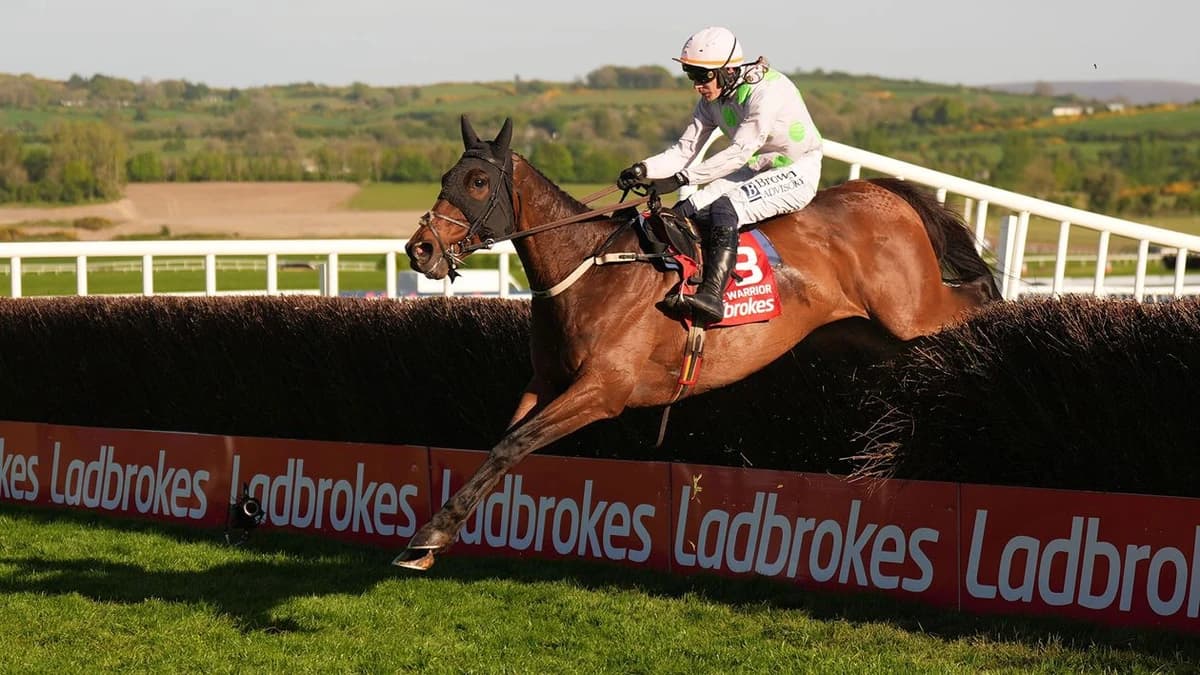 Ladbrokes Punchestown Gold Cup report and free video replay: Gaelic Warrior follows up Cheltenham wi