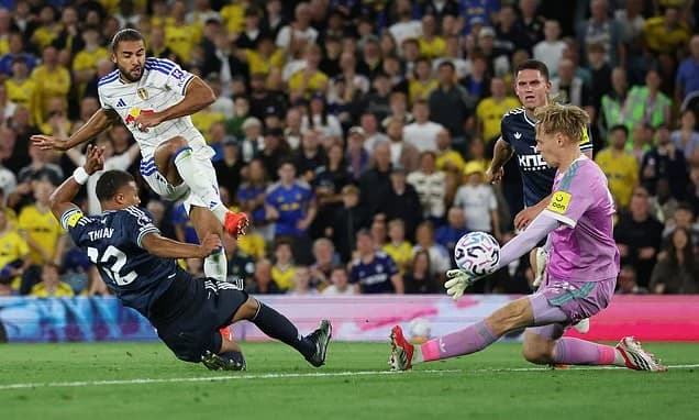 Leeds 4-1 Newcastle: Daniel Farke's side up to third after running riot at Elland Road, with Dominic