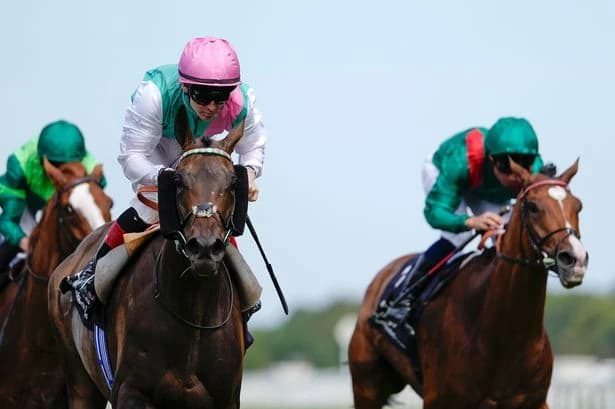'Less time' - Calandagan trainer reacts as Kalpana turns the tables in Ascot's big race