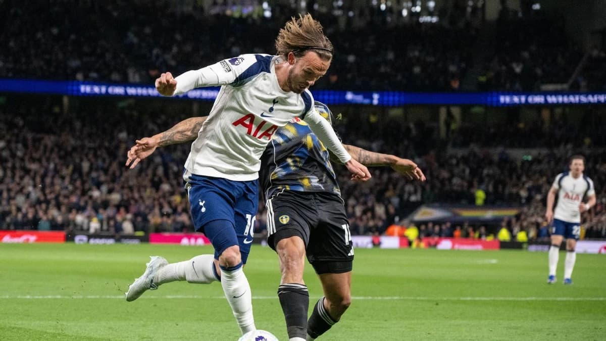 Maddison: Officials 'petrified' to make decisions