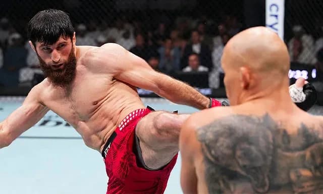Magomed Ankalaev pummels Bogdan Guskov for TKO stoppage at UFC Abu Dhabi