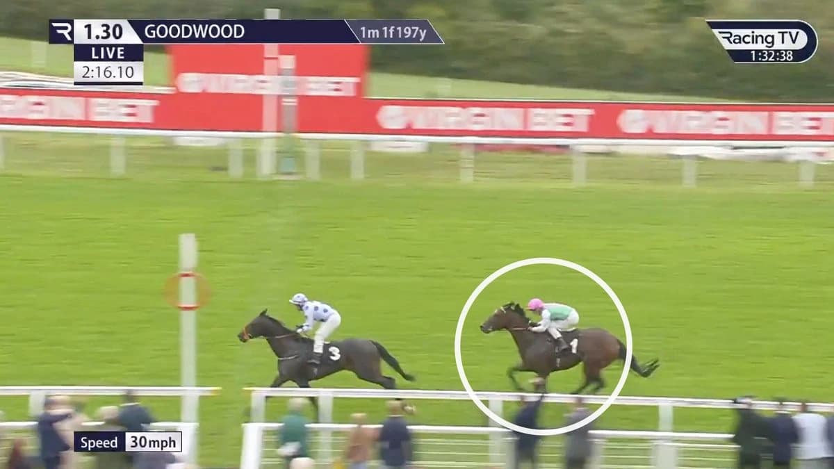 Najidi Storm becomes the shortest-priced loser ever in UK horse racing history at 1-33f