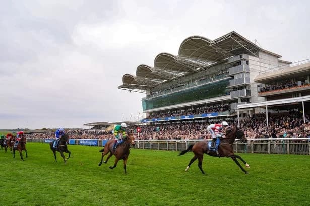 Newsboy's horseracing tips for Friday's six meetings including Newmarket NAP