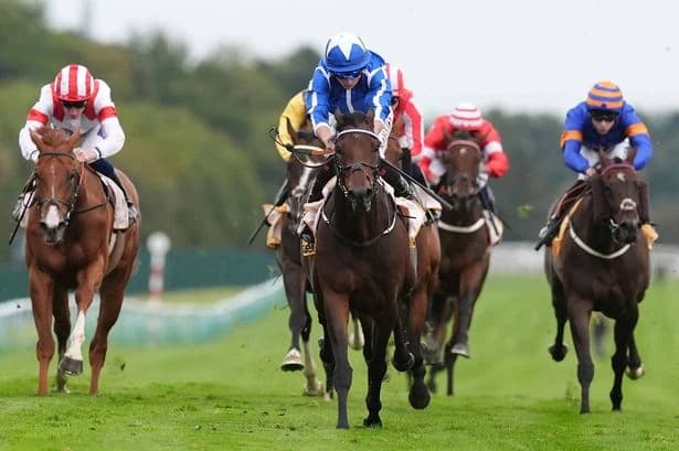 Newsboy's horseracing tips for Saturday's ITV races and the rest of the cards