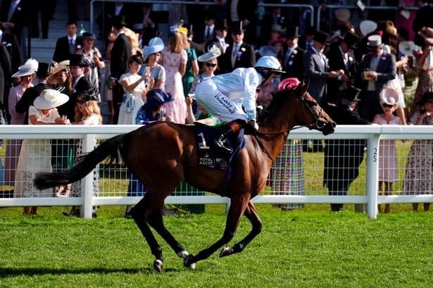 Newsboy’s ITV selections for York and Newbury plus tips from Friday’s other UK meetings