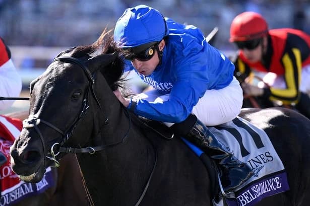 Newsboy's top ITV horse racing tips for Newmarket and Doncaster on Thursday