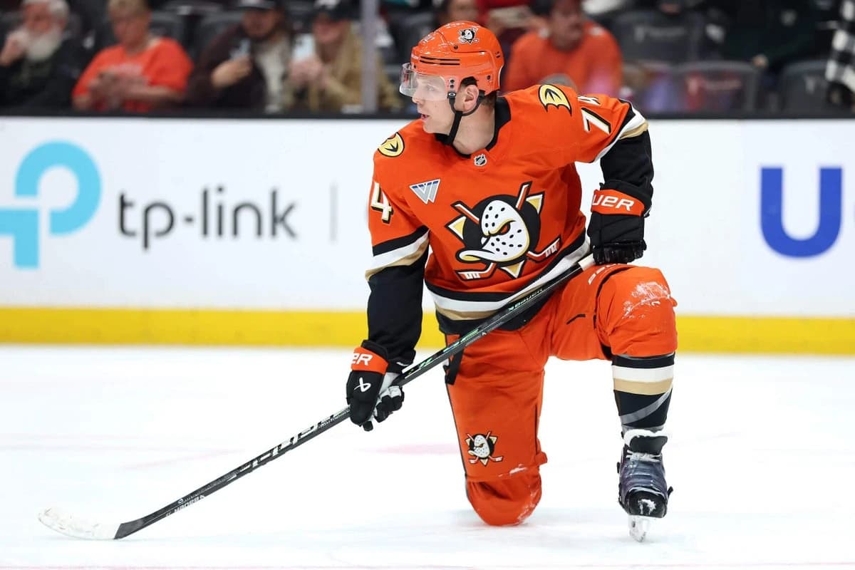 NHL free agency recap: A team-by-team look at a $1 billion offseason