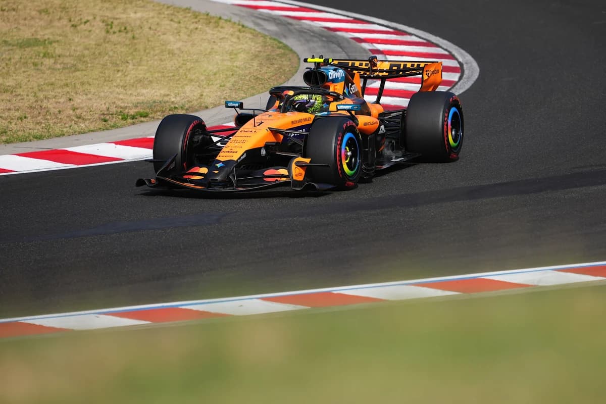 Norris snatches pole position from Hamilton in Hungary