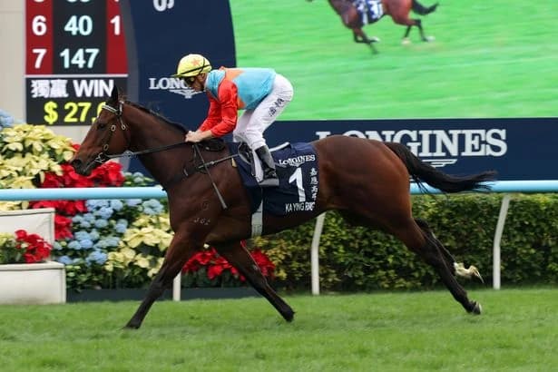 OLI BELL - 'Superstar Ka Ying Rising could sell out Royal Ascot five times over'
