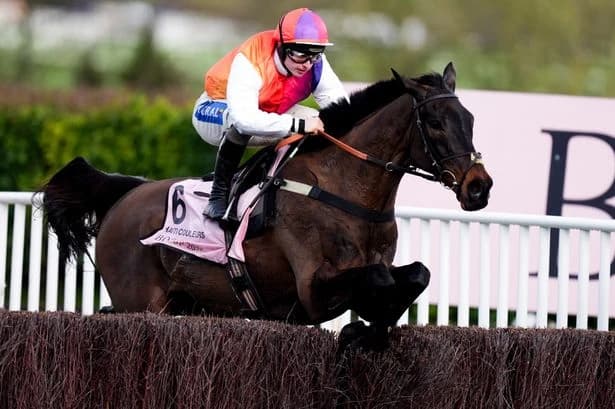 Paul Townend replaces Sean Bowen on Haiti Couleurs at Down Royal