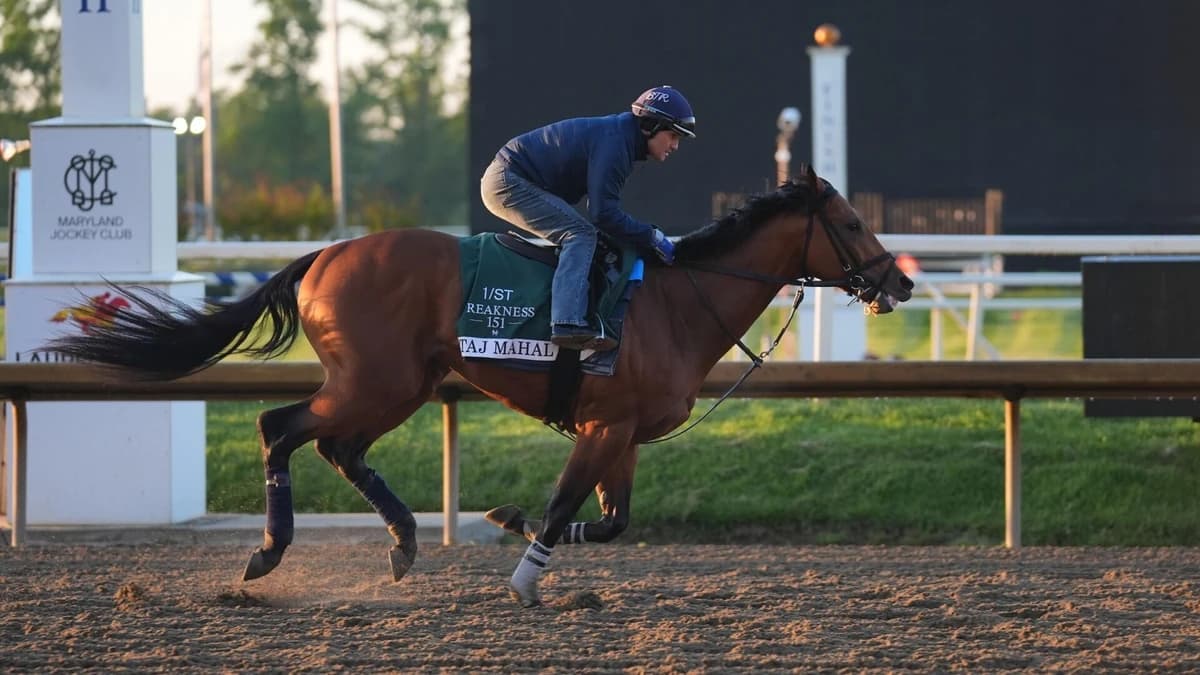 Preakness Stake 2026 odds, posts, date: Iron Honor, Taj Mahal, Incredibolt predictions via top exper