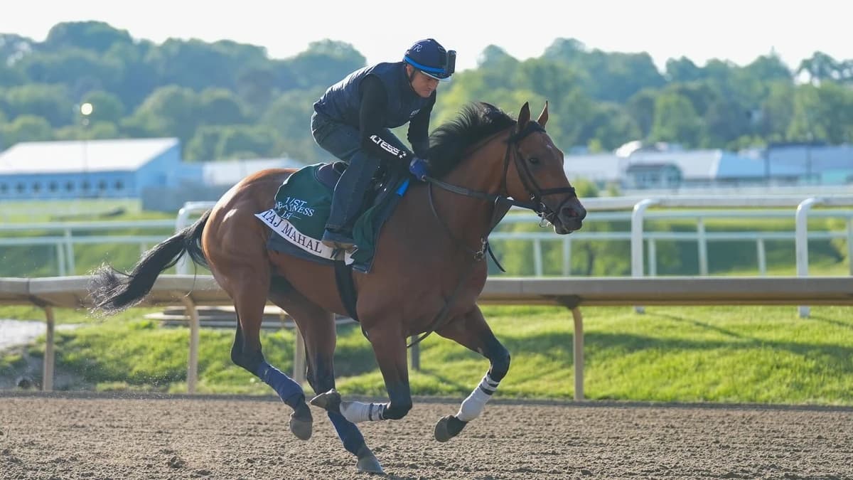 Preakness Stakes 2026 predictions, odds, horses: Best win, place, show, exacta, trifecta, superfecta