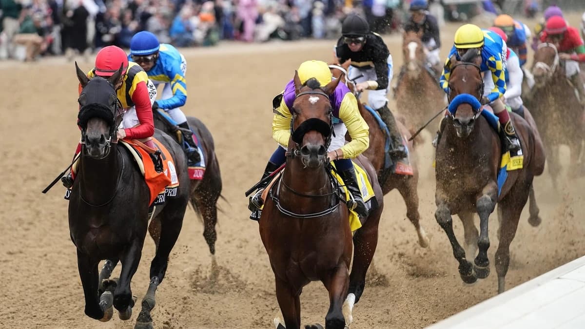Preakness Stakes 2026 predictions, odds, horses, date: Win, place, show, exacta, trifecta, superfect