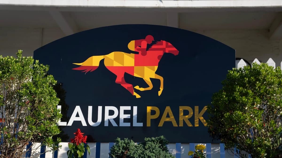 Preakness Stakes 2026 predictions, odds, horses, time: Win, place, show, exacta, trifecta and superf