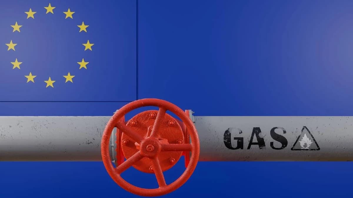 Prețul gazelor naturale în Europa a depășit 100 de euro/MWh, pentru prima dată din 2022. Industria ș