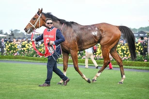 Racehorse groom who spent 18 days in a coma leads up winner of £3million race