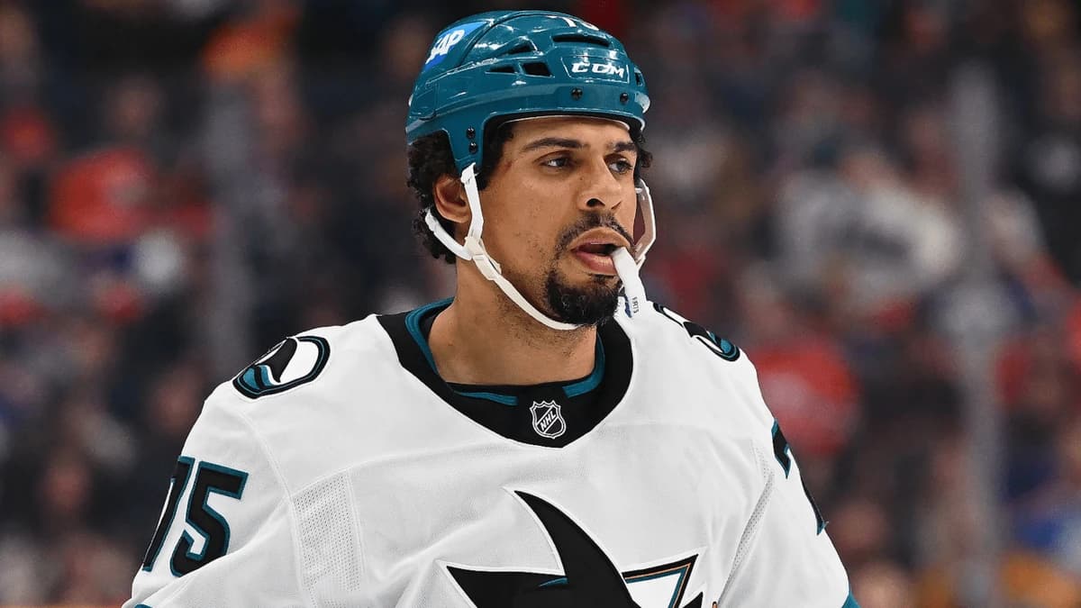 Reaves retires from NHL after 16 seasons, 962 games
