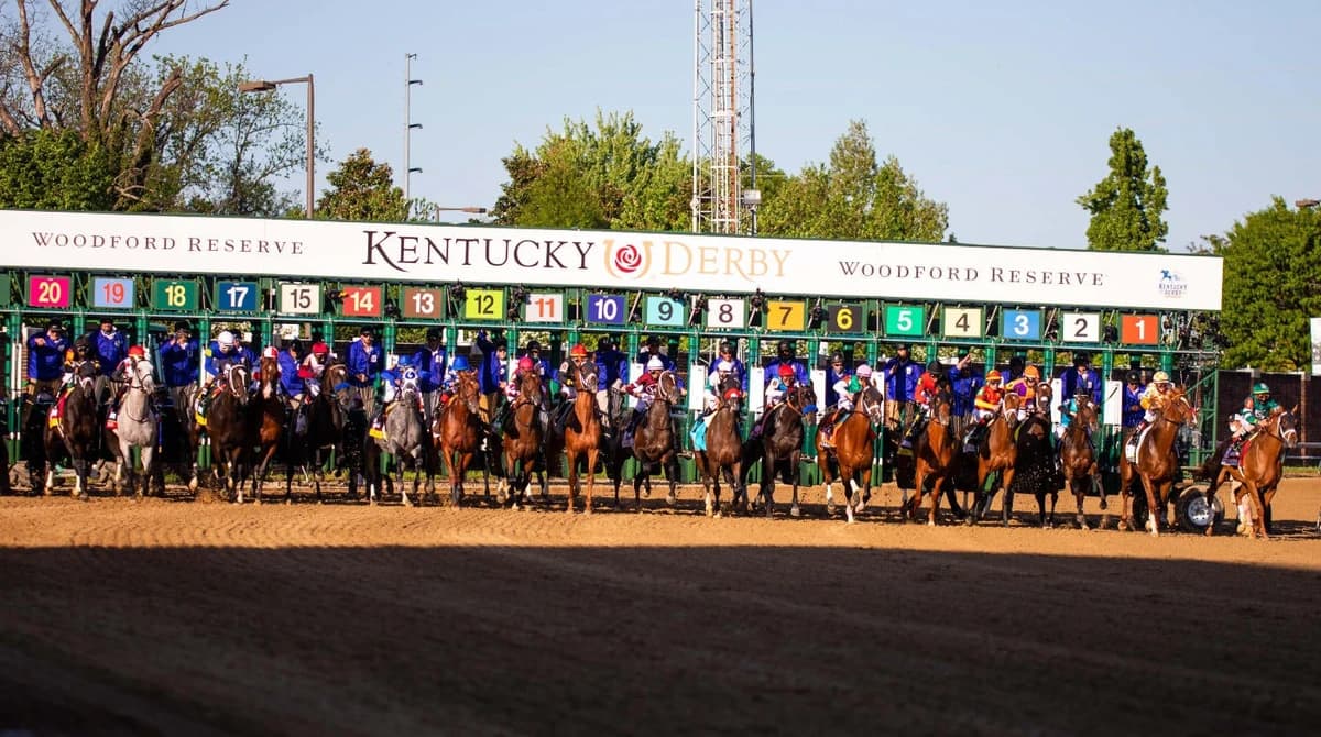 Right to Party profile: 2026 Kentucky Derby odds, post position, history and more to know