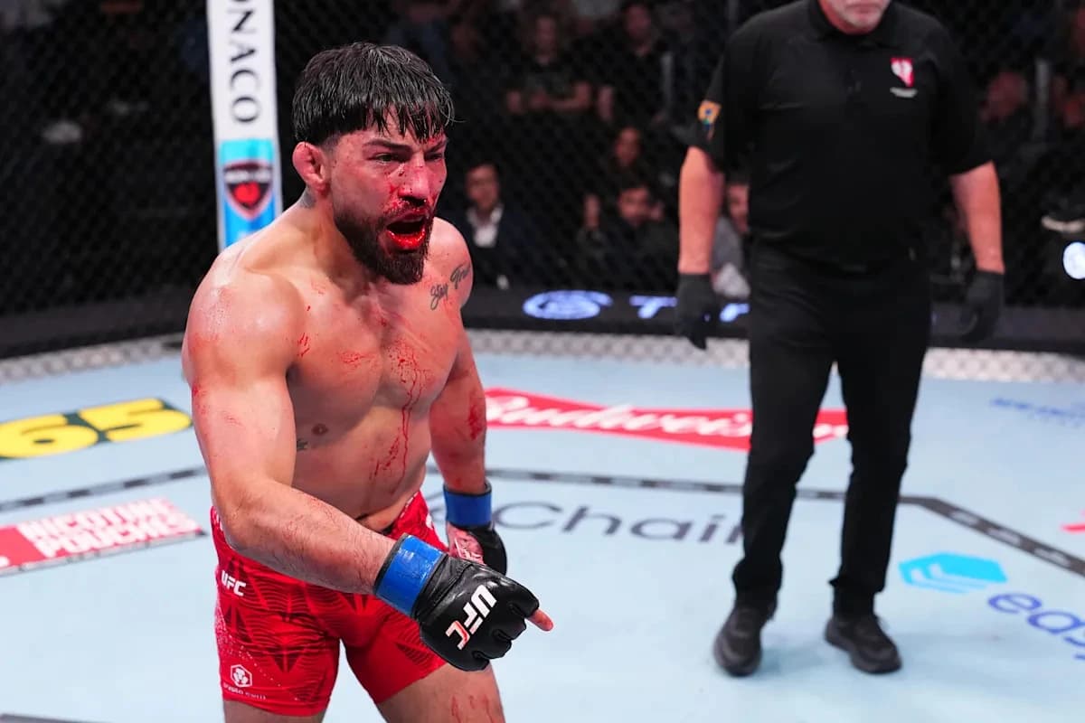 Rookie Report Card: Grading all Octagon newcomers UFC Vegas 116 post-mortem