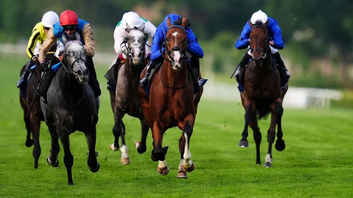 Royal Ascot 2025 latest news | Ombudsman ready to defend crown