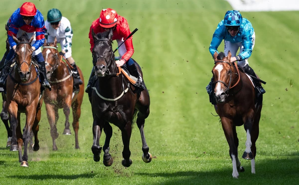 Royal Ascot 2026 Day 2 Declared Runners & Riders: Confirmed Entries by Race