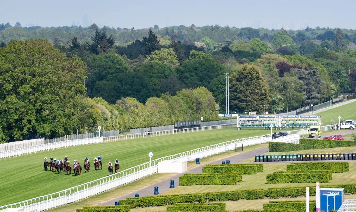 Royal Ascot 2026 Day 4 Declared Runners & Riders: Confirmed Entries by Race