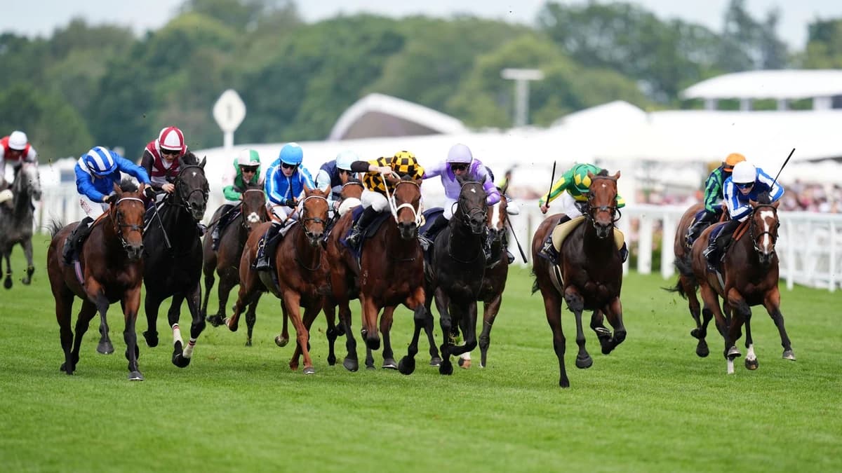 Royal Ascot: Almeraq steals the show in Queen Elizabeth II Jubilee Stakes after Giavellotto wins the