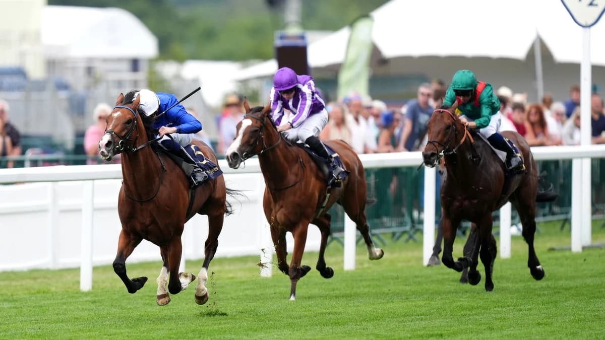 Royal Ascot: John Gosden hails Ombudsman among his greats after wowing crowd in Prince Of Wales's St