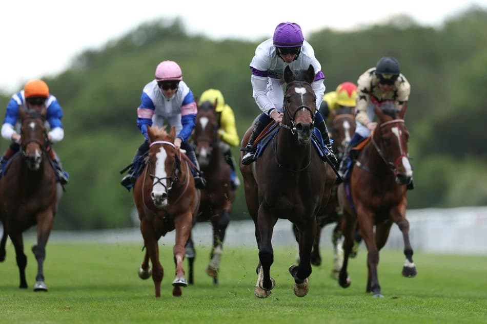 Salisbury 'very proud' of Royal Ascot record after Orthodox and Almeraq shine on the biggest stage